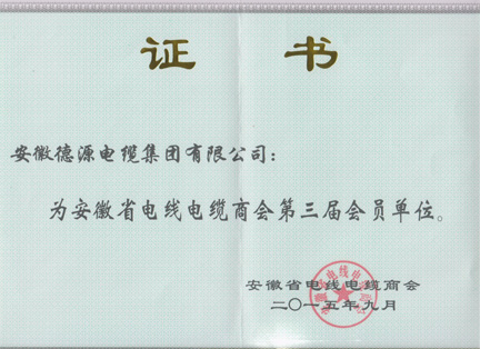 榮譽證書